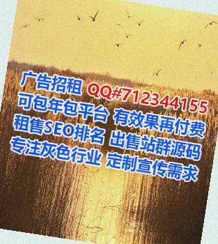 辽宁代怀电子事务所
